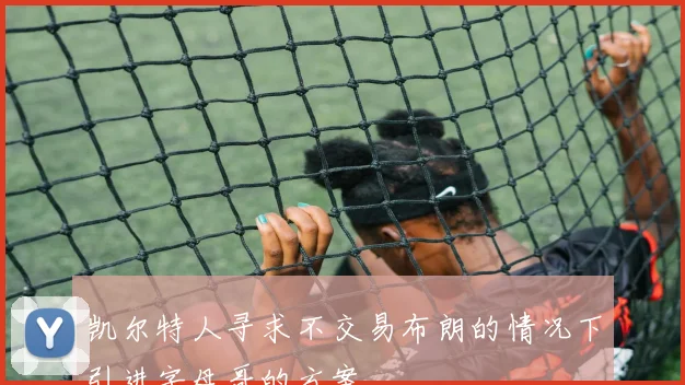 凯尔特人寻求不交易布朗的情况下引进字母哥的方案